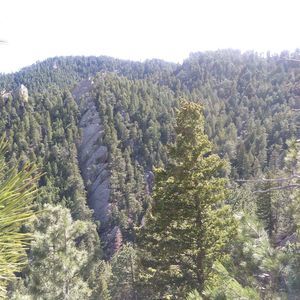 Meet your Posher, Gisela